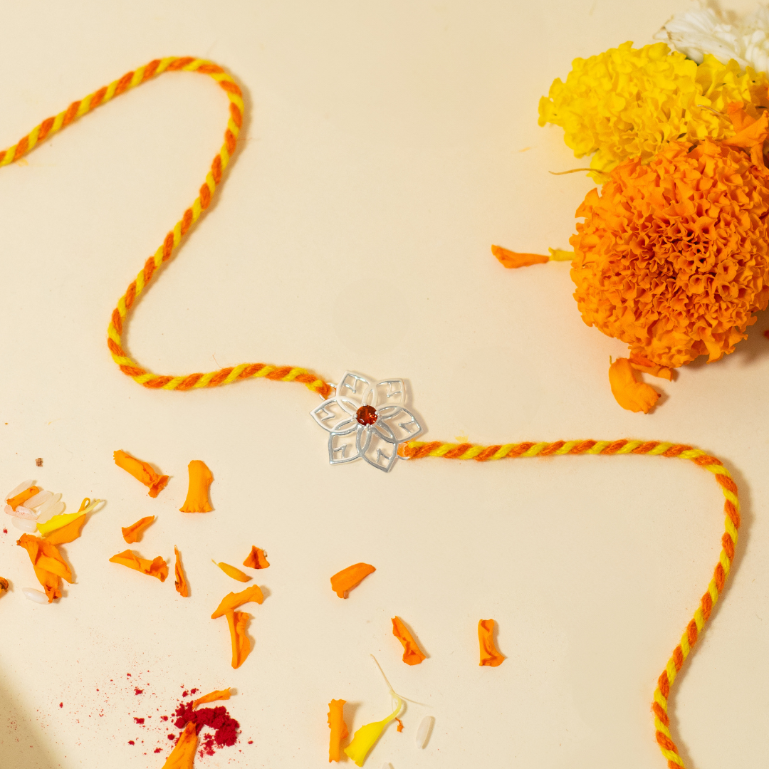 Positivity Rakhi