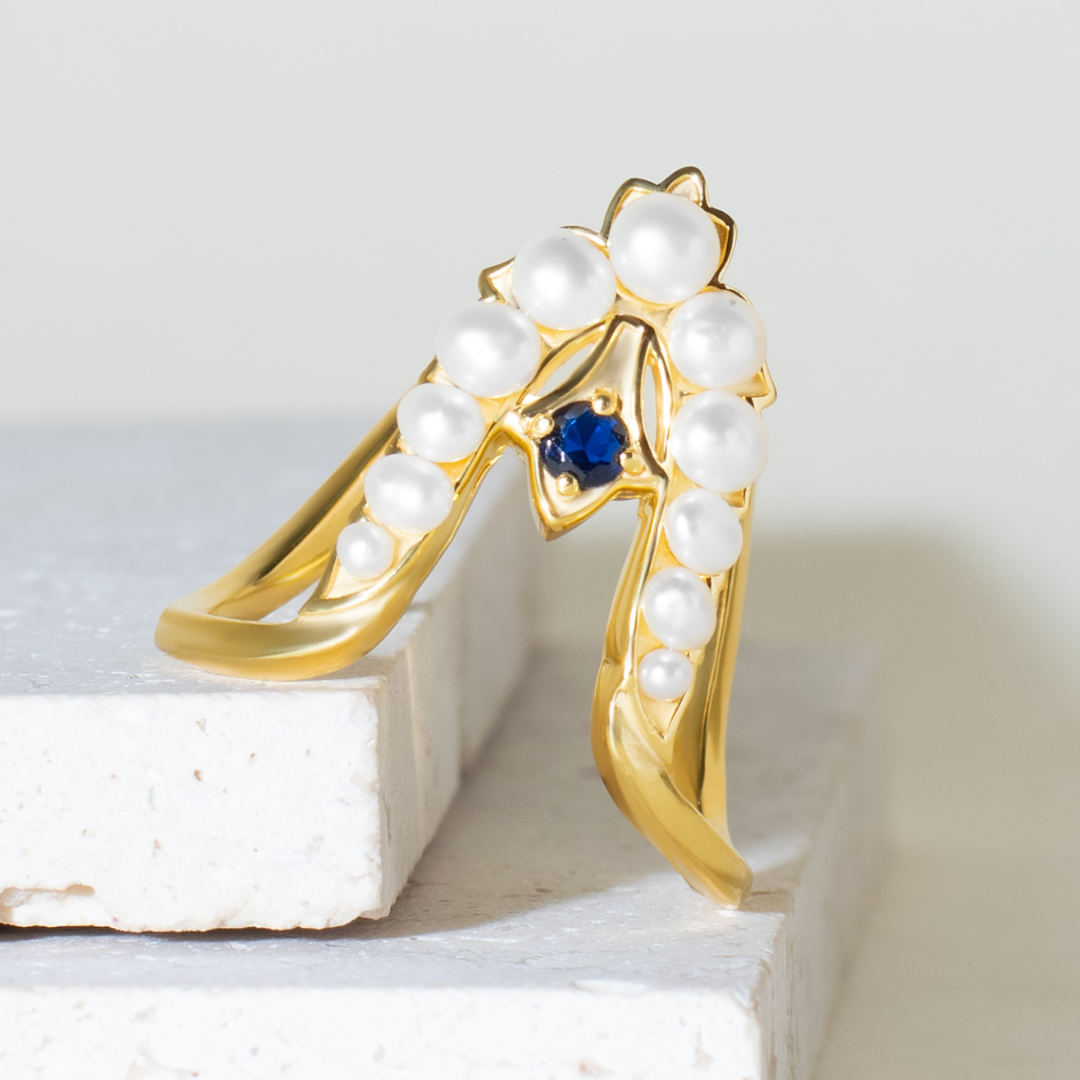 Pride Vanki Ring