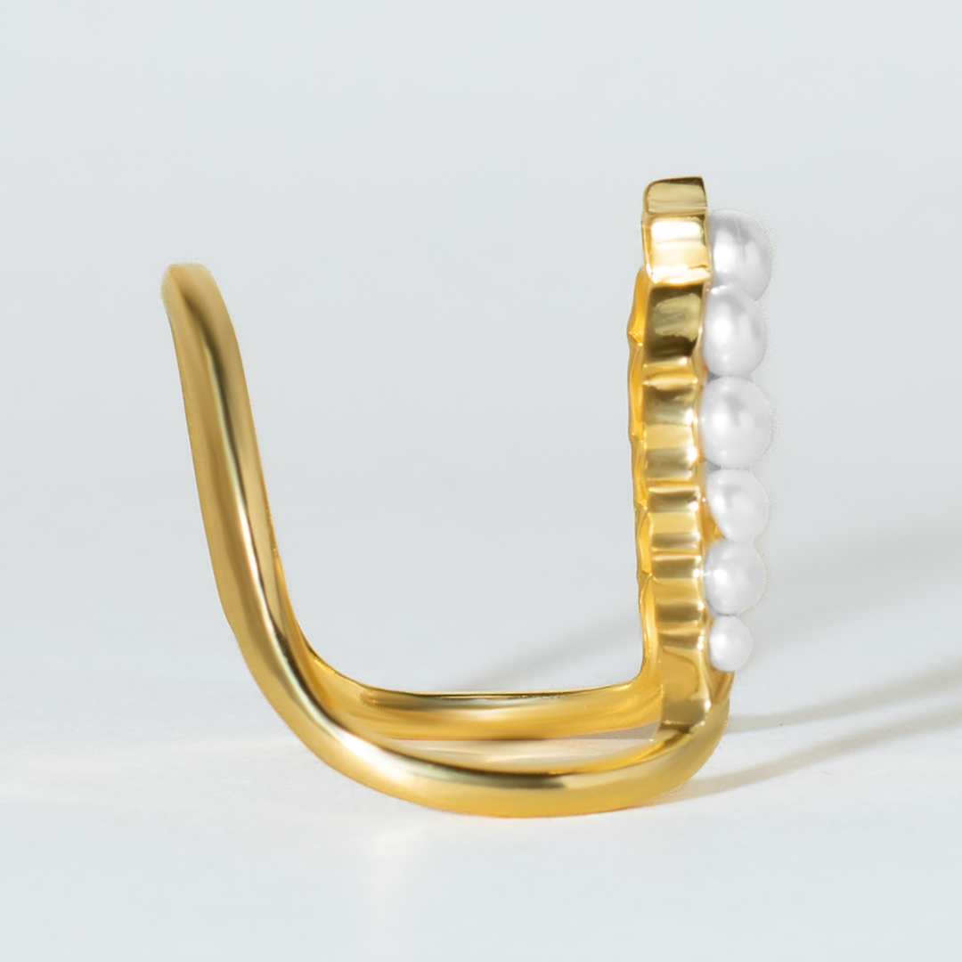 Pride Vanki Ring