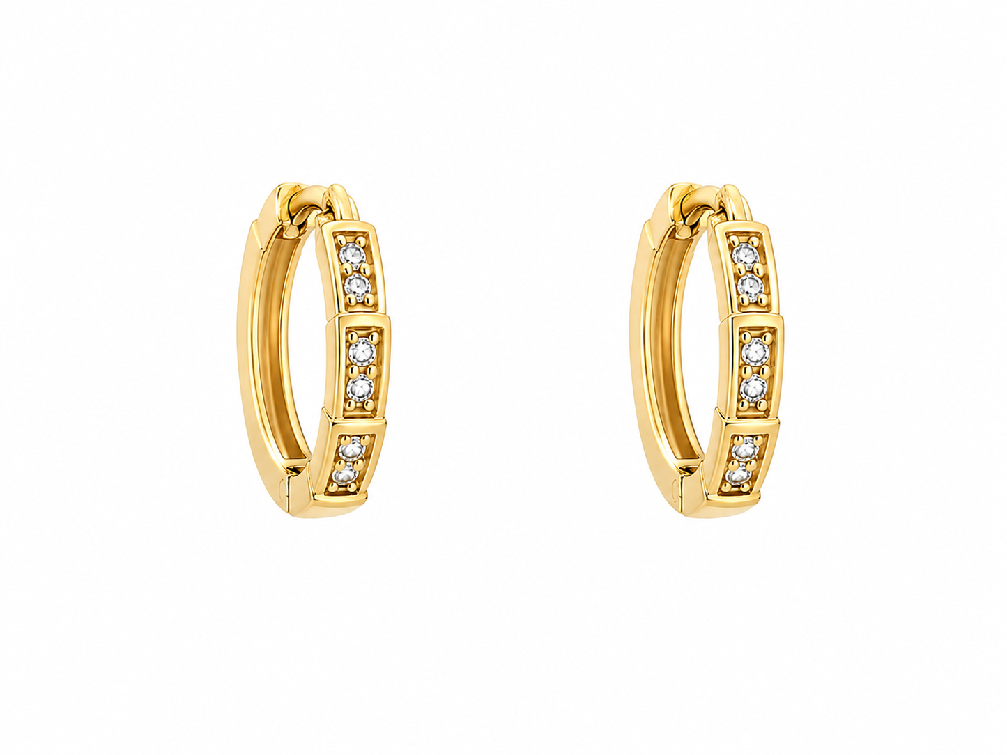 Sargam Earrings