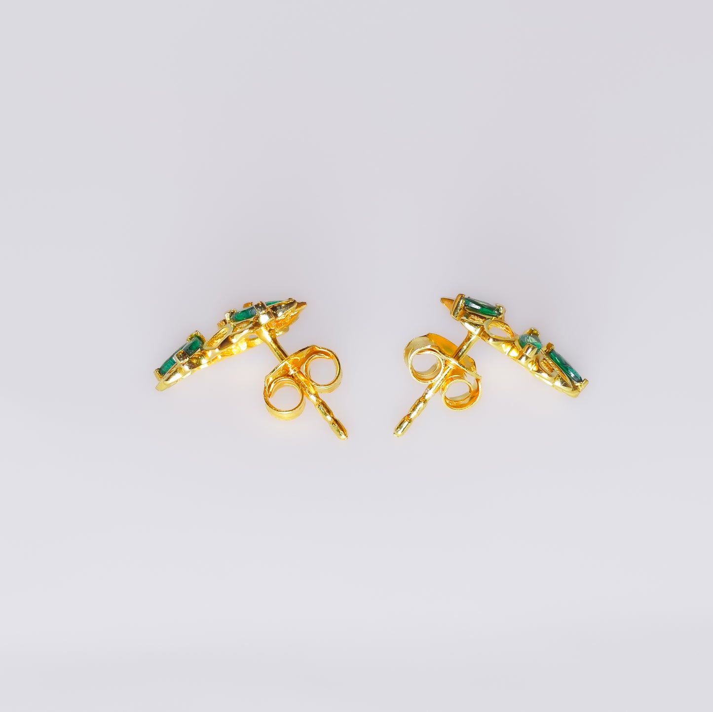 Positivity Rani Set