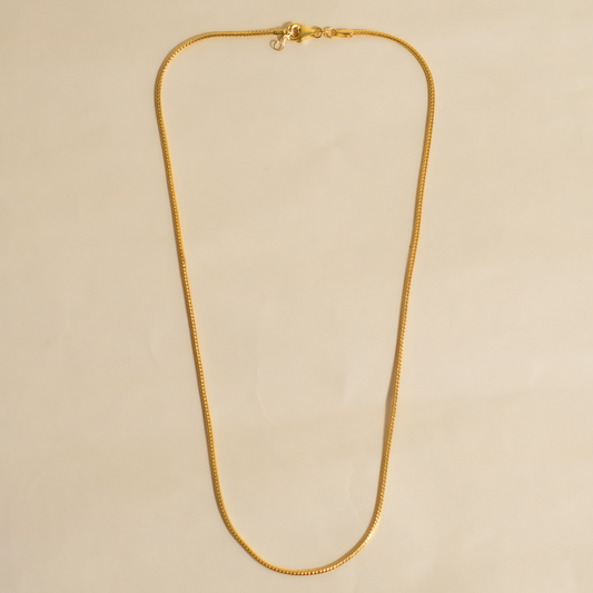 Phoenix Chain