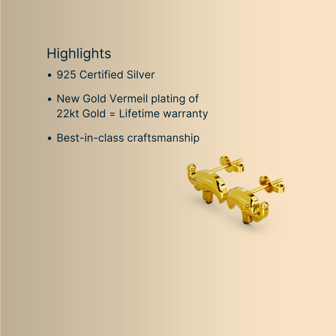 Whisp Earrings for Kids and Teens