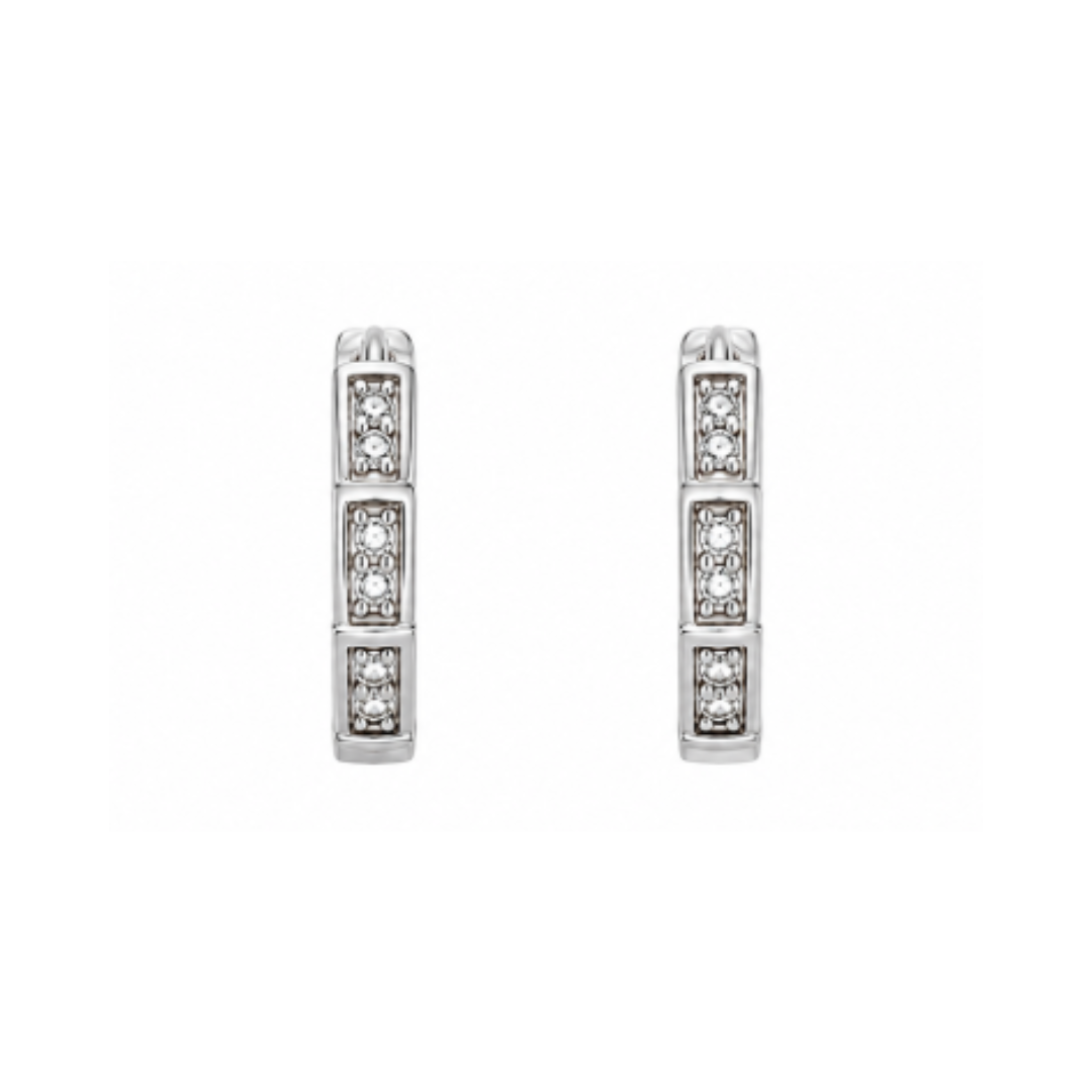 Adaayein Earrings