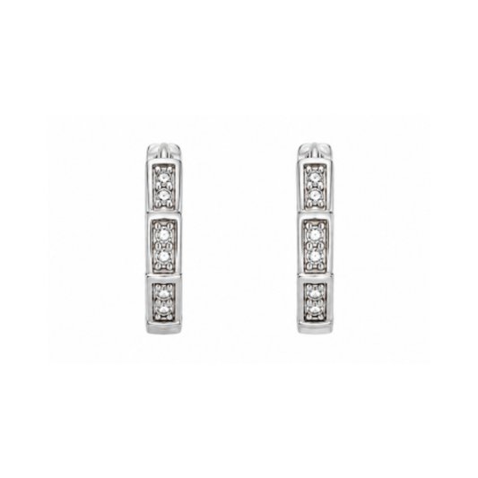 Adaayein Earrings