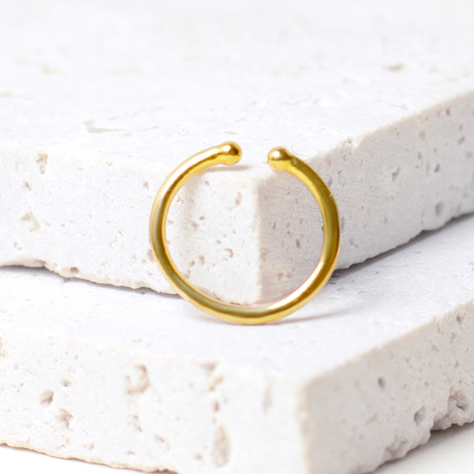 Eternity Nose Ring