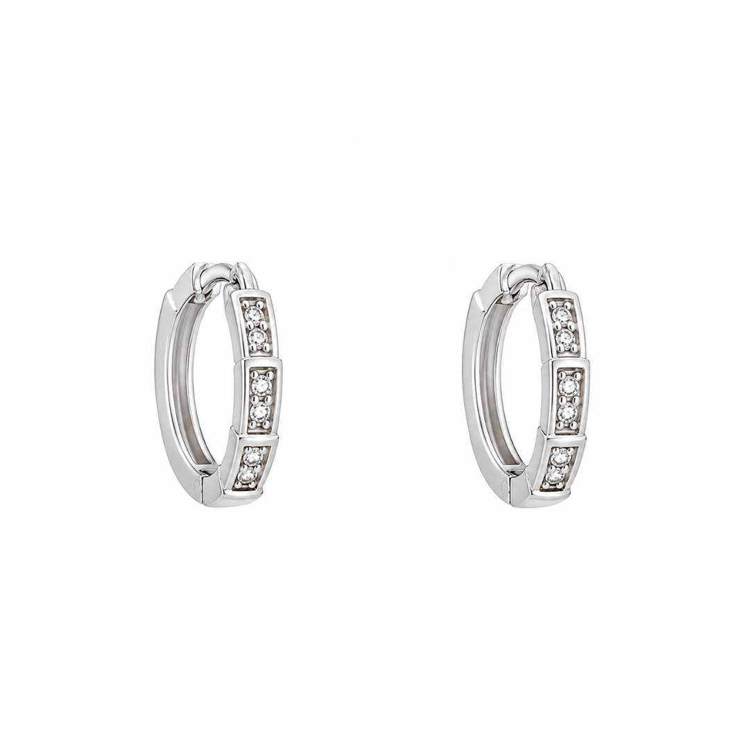 Adaayein Earrings