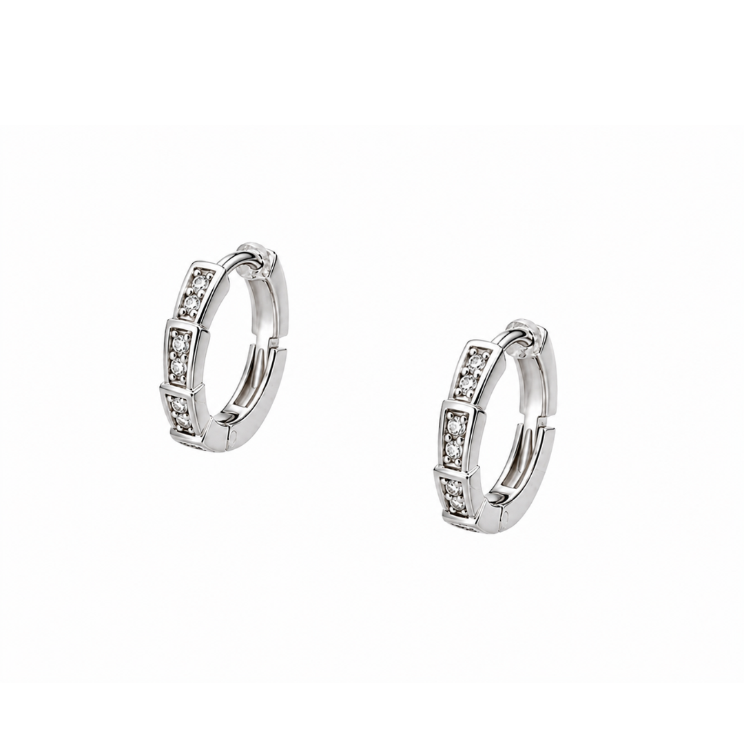 Adaayein Earrings