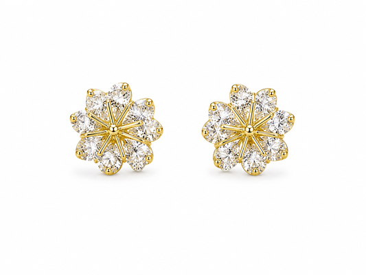 Andaaz Earrings