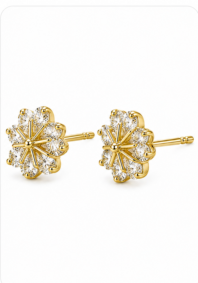 Andaaz Earrings