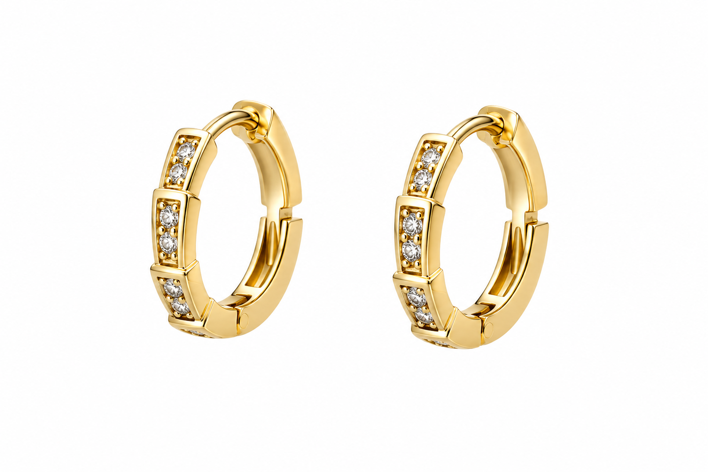 Sargam Earrings