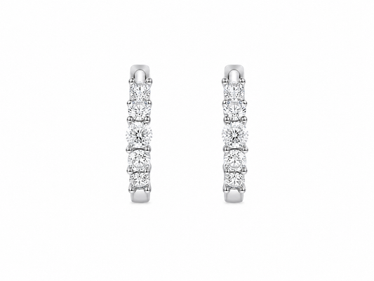 Fankar Earrings