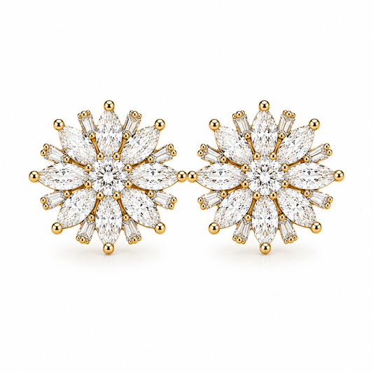 Sajdhaj Earrings