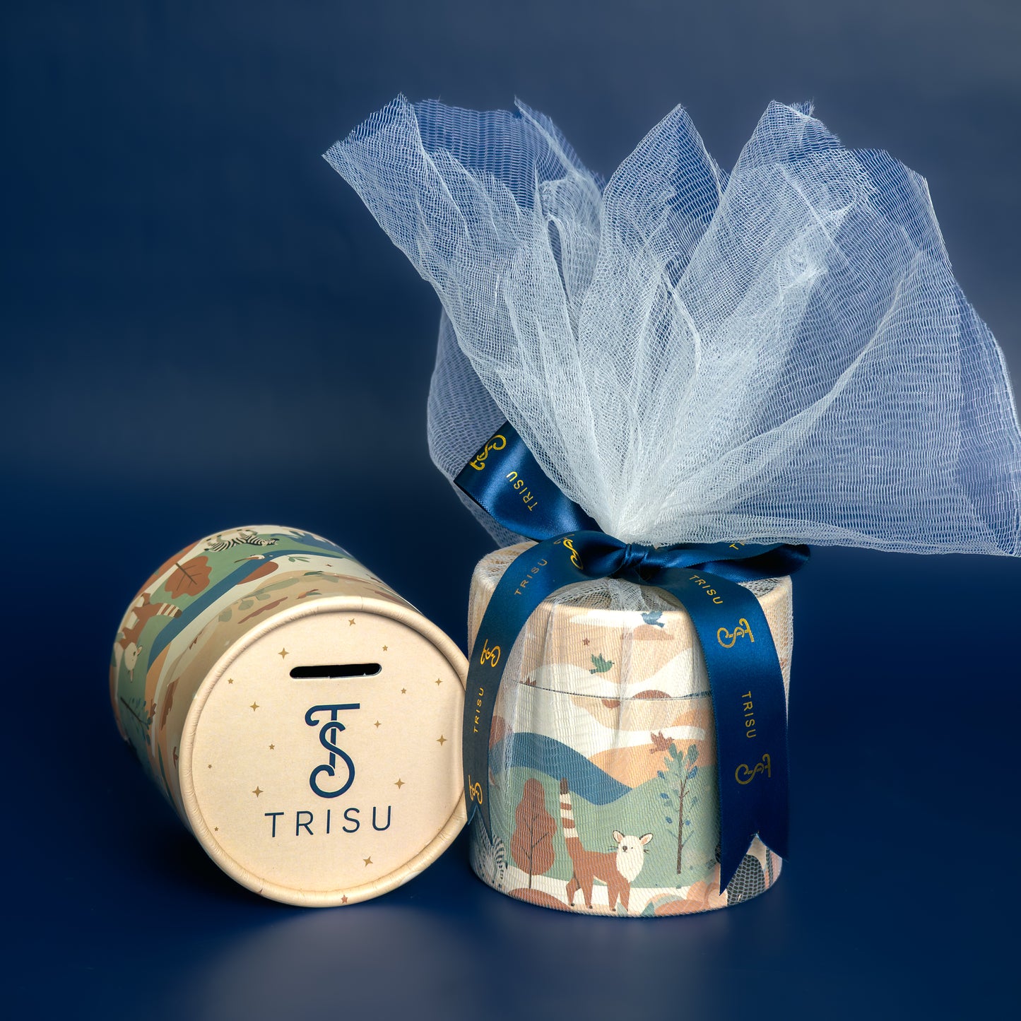 Wonder Gift Box for Kids
