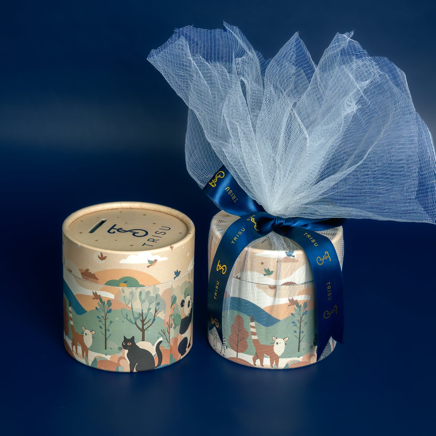Wonder Gift Box for Kids
