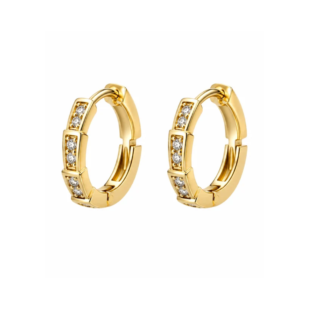 Shaukeen Earrings
