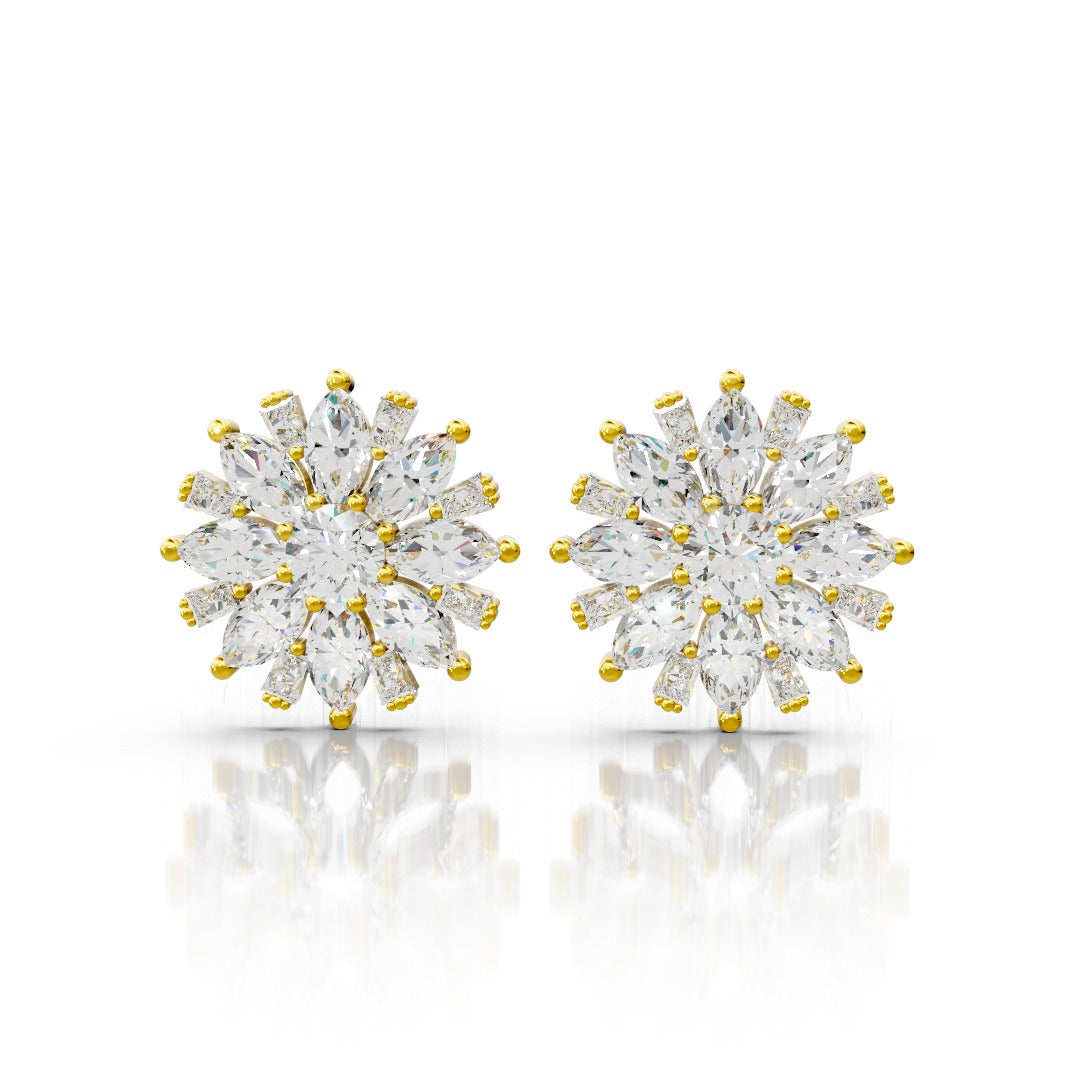 Sajdhaj Earrings