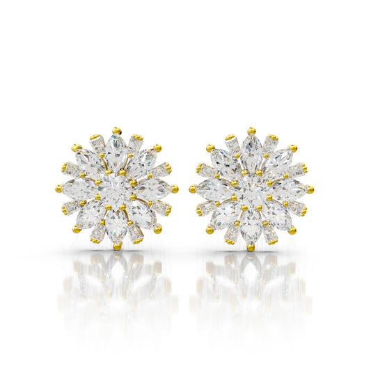 Sajdhaj Earrings