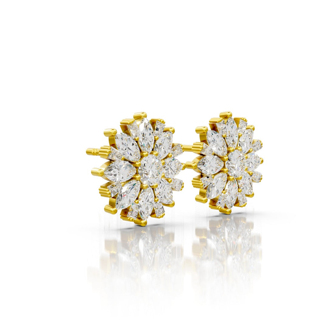 Sajdhaj Earrings